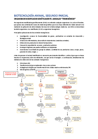 Segundo-parcial-animal.pdf