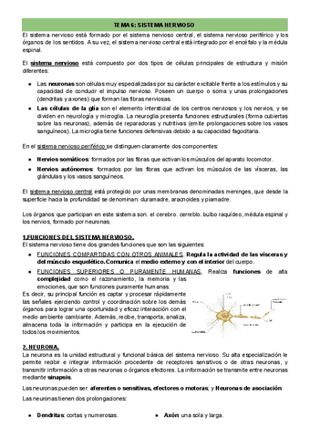 TEMA-6.-Apuntes.pdf