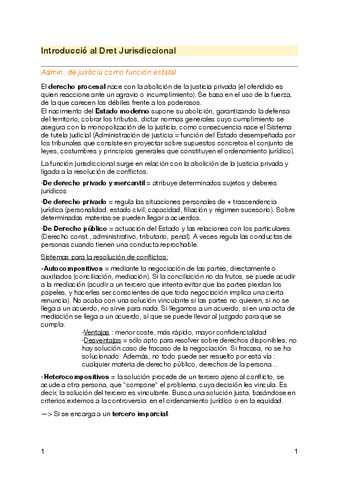 Dret-Jurisdiccional.pdf