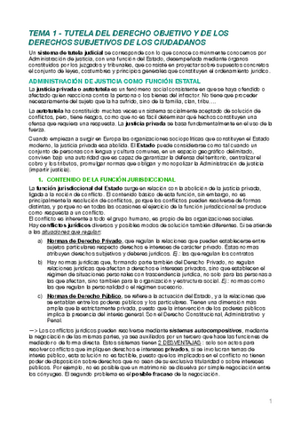 Dret-Jurisdiccional-Tema-1.pdf