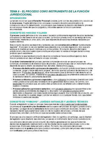 Dret-Jurisdiccional-Tema-9.pdf