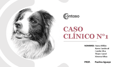 Caso-Clinico.pptx.pdf