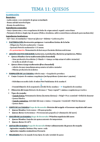 TEMA-11.pdf