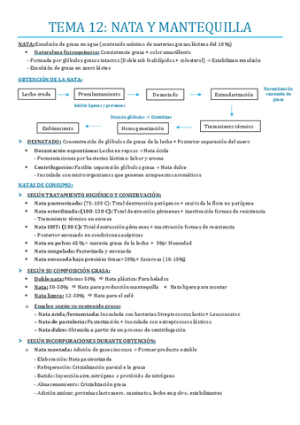 TEMA-12.pdf
