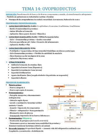 TEMA-14.pdf