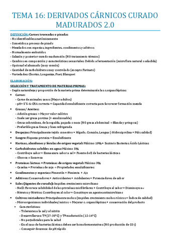 TEMA-16.pdf
