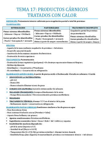 TEMA-17.pdf