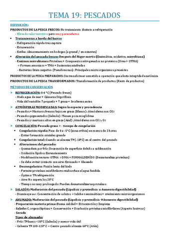 TEMA-19.pdf
