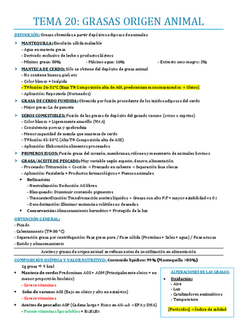 TEMA-20.pdf