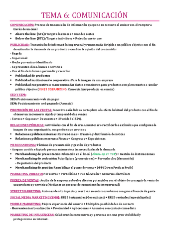 TEMA-6.pdf