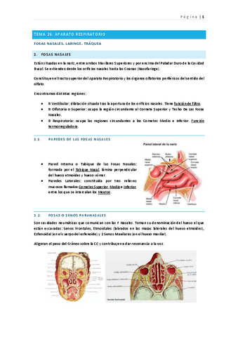 tema-26-aparato-respiratorio-v.pdf