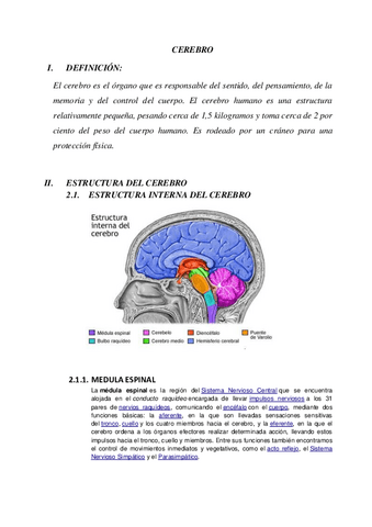 Corteza-Cerebral.pdf