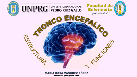 Tronco-Encefalico.pdf