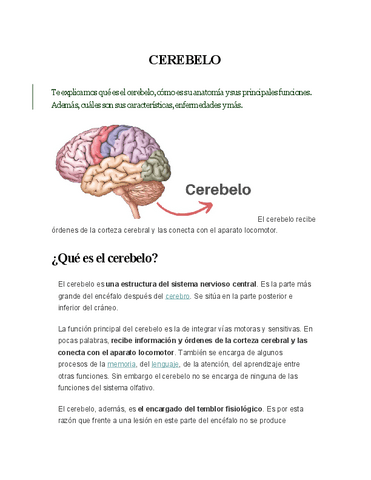 CEREBELO.pdf