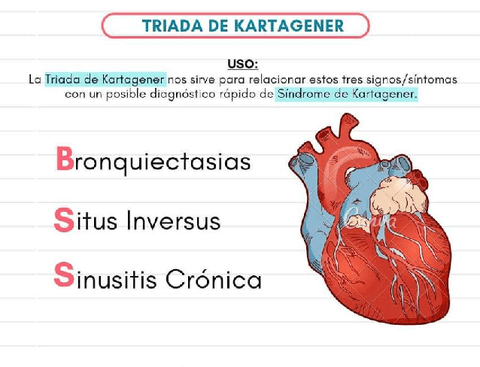TRIADA-DE-KARTAGENER.pdf