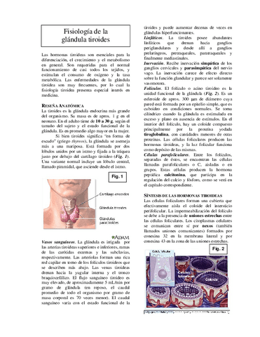 Fisiologia-de-La-Gladula-Tiroides.pdf