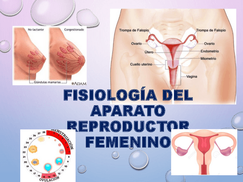 Fisiologia-Del-Aparato-Reproductor-Femenino.pdf