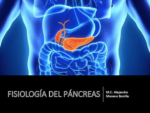 Fisiologia-Del-Pancreas.pdf