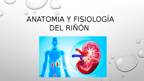 Fisiologia-Del-Rinon.pdf