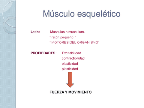 Fisiologia-Del-Sistema-Muscular.pdf