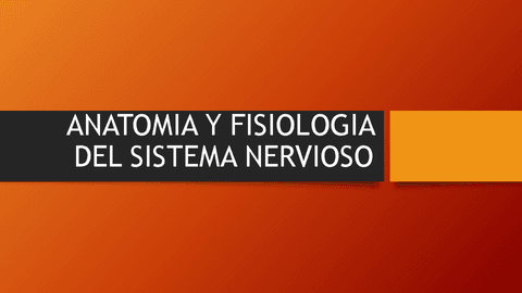 Fisiologia-Del-Sistema-Nervioso-2.pdf