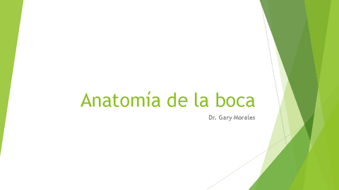 Anatomia-de-La-Boca.pdf