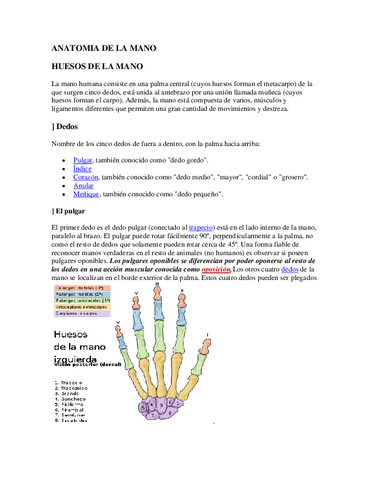 Anatomia-de-La-Mano.pdf