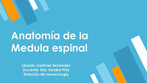 Anatomia-de-La-Medula-Espinal.pdf