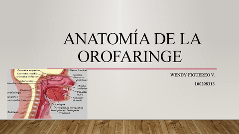 Anatomia-de-La-Orofaringe.pdf