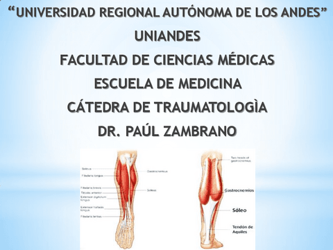 Anatomia-de-La-Pierna-2.pdf