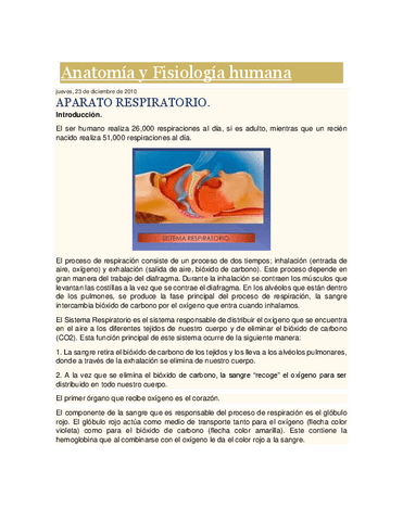 Anatomia-de-La-Respiracion.pdf