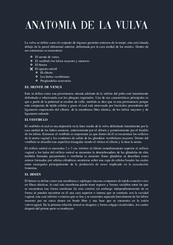 Anatomia-de-La-Vulva.pdf