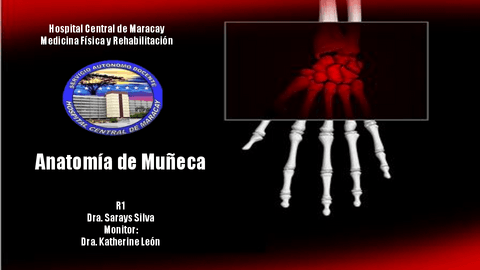 Anatomia-de-Muneca.pdf