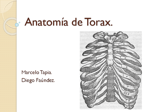 Anatomia-de-Torax.pdf