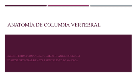 Anatomia-de-Columna-Vertebral.pdf