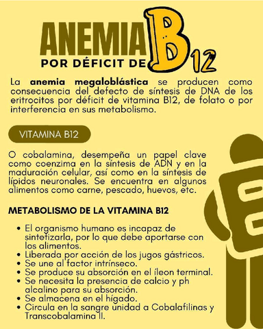 ANEMIA-POR-DEFICIT-DE-B12.pdf