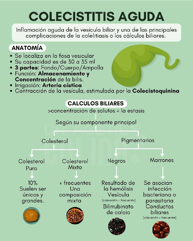 colecistitis-aguda-1.pdf