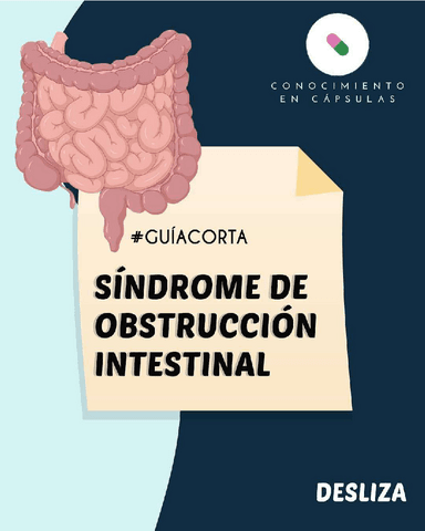 OBSTRUCCION-INTESTINAL.pdf