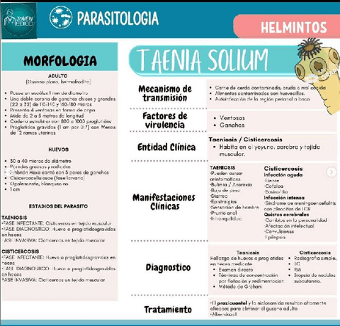 TAENIA-SOLIUM.pdf