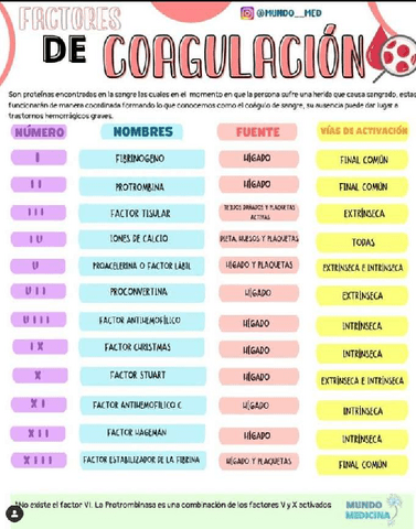 FACTORES-DE-COAGULACION.pdf