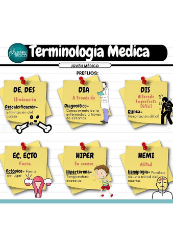 Terminologia-Medica.pdf