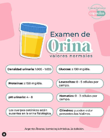 VALORES-NORMALES-DE-UN-EXAMEN-DE-ORINA.pdf