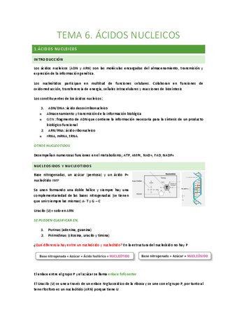 Tema-6-acidos-nucleicos.pdf