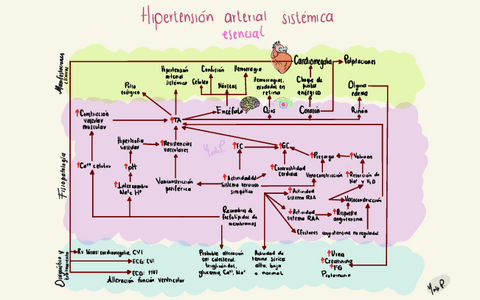 Hipertension-Arterial-Sistemica-Esencial-2.pdf