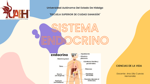 SISTEMA-ENDOCRINO.pdf