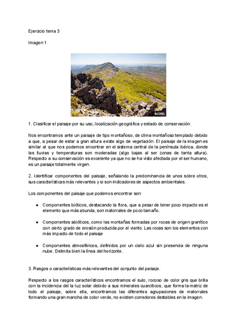 Trabajos-ordenacion.pdf