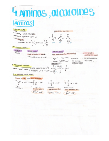 4.-aminas-y-alacaloides.pdf