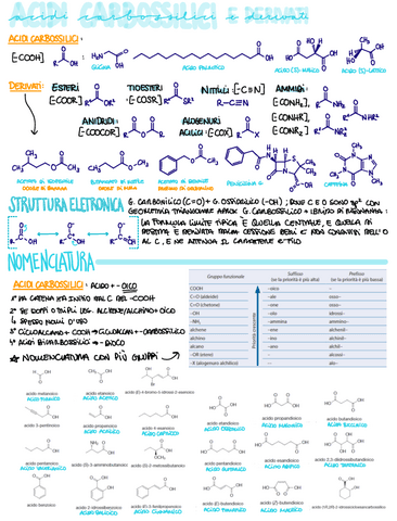 12.-Acidi-carbossilici-e-derivati.pdf