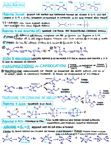 Riassunto-reazioni.pdf