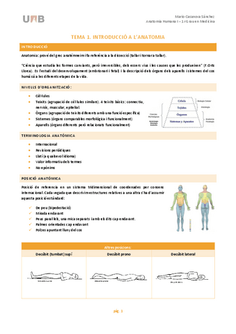 Anato-1P-Mario-Casanova.pdf